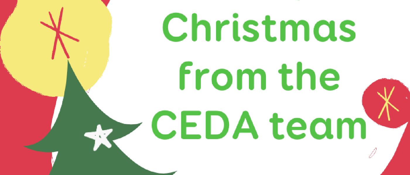 CEDA and JASMIN support over Christmas period